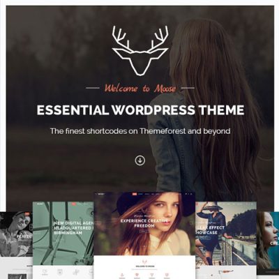 PREMIUM WORDPRESS THEMES & PLUGINS