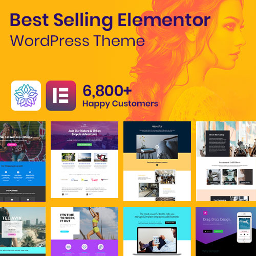 PREMIUM WORDPRESS THEMES & PLUGINS