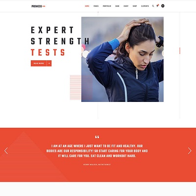 PREMIUM WORDPRESS THEMES & PLUGINS