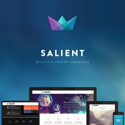 PREMIUM WORDPRESS THEMES & PLUGINS
