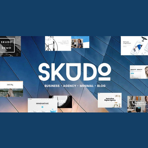 PREMIUM WORDPRESS THEMES & PLUGINS