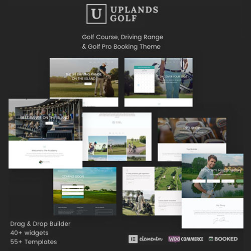 PREMIUM WORDPRESS THEMES & PLUGINS