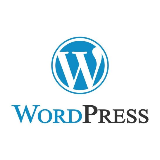 WordPress Themes